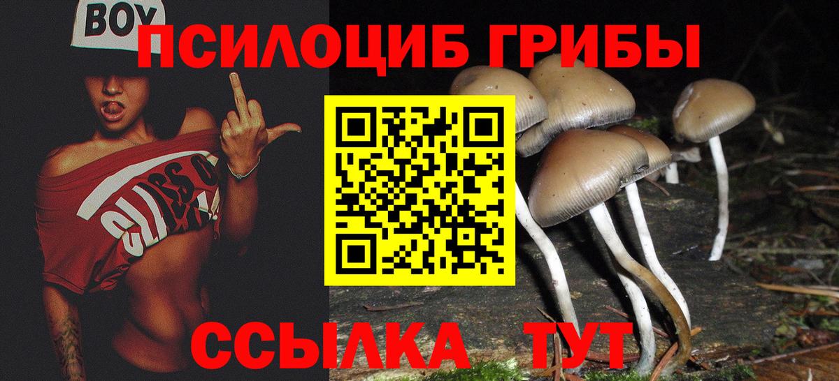 Шахты  Галлюциногенные грибы Psilocybine cubensis  Псилоцибиновые грибы мицелий  Вход с VPN 