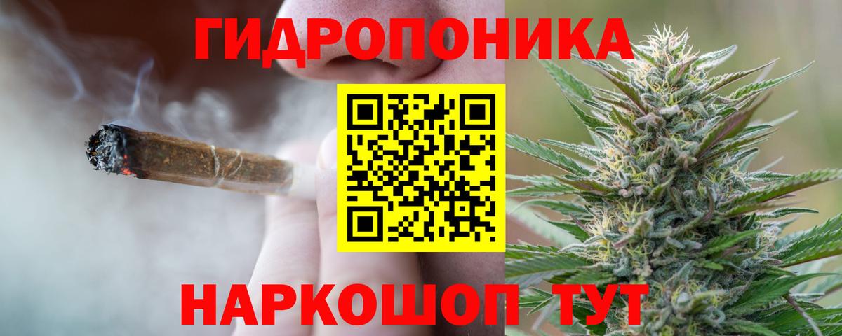 Конопля марихуана Шахты